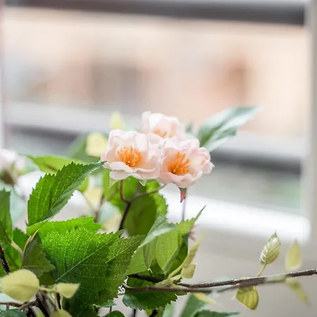 *casa Mulino - Storia E Modernita* Lägenhet Modena