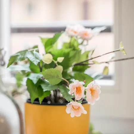 *casa Mulino - Storia E Modernita* *