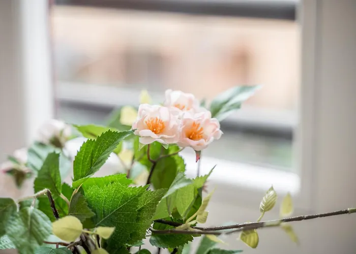 *casa Mulino - Storia E Modernita* 公寓 摩德纳